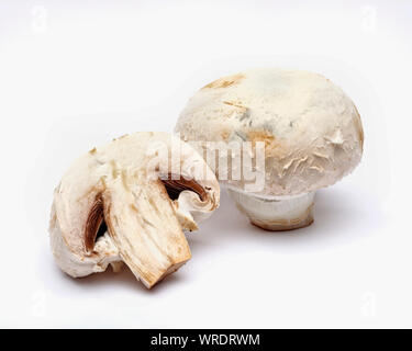 Funghi, interi e a metà su sfondo bianco Foto Stock