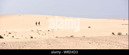 Parque Natural de Corralejo (Corralejo parco naturale). Fuerteventura Isole Canarie. Spagna Foto Stock
