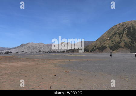 Chiudere fino al bromo cratere Batok vicino vulcano. Mare di sabbia nera e ceneri in bromo caldera valley. Cielo sereno e soleggiato fondovalle con i vulcani. Foto Stock