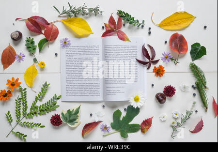 L'autunno è il tempo migliore per la lettura di libri. Foto Stock