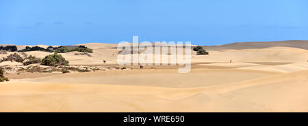 Maspalomas dune di sabbia Riserva Naturale. Gran Canaria Isole Canarie. Spagna Foto Stock