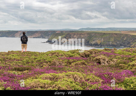 Vedute costiere dal clifftops della costa del sud-ovest percorso tra Godrevy e Hell's bocca, North Cornwall. Foto Stock