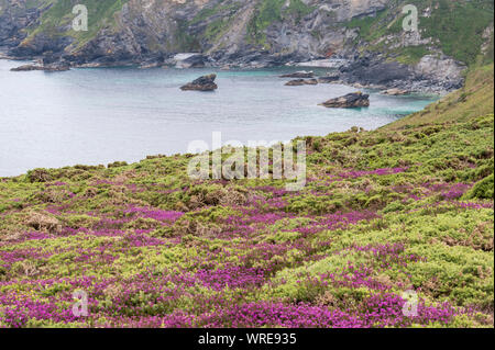 Vedute costiere dal clifftops della costa del sud-ovest percorso tra Godrevy e Hell's bocca, North Cornwall. Foto Stock