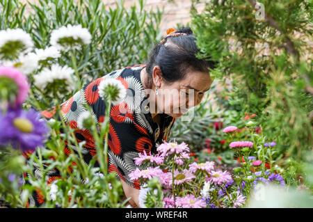 (190910) -- URUMQI, Sett. 10, 2019 (Xinhua) -- un abitante di un villaggio controlla i fiori a casa a Kashgar, a nord-ovest della Cina di Xinjiang Uygur Regione autonoma, Agosto 18, 2019. Molti abitanti locali nello Xinjiang hanno sollevato il loro stato di povertà attraverso piantagioni e bestiame. Negli ultimi cinque anni circa 1,89 milioni di persone a Kashgar, Hotan, Aksu e Kizilsu Kirgiz agitato fuori la povertà, riducendo la povertà rapporto organico dal 29,1 al 10,9 per cento nei quattro prefetture nel sud del Xinjiang. (Xinhua/Wang Fei) Foto Stock