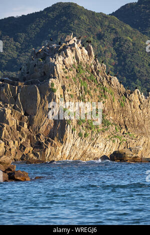 I cormorani uccelli seduti sulle scogliere di piegatura di Hashigui-iwa alla luce del tramonto. Wakayama Prefettura. Honshu. Giappone Foto Stock