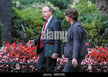 Westminster, Londra, decimo Sep 2019. DUP leader Arlene Foster e vice leader Nigel Dodds immettere n. 10 di Downing Street in Westminster, ha detto di essere incontro il Primo Ministro Boris Johnson. La DUP è attualmente in un governo di coalizione con il Partito conservatore. Credito: Imageplotter/Alamy Live News Foto Stock