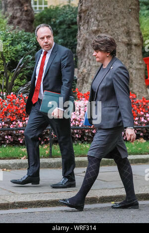 Westminster, Londra, decimo Sep 2019. DUP leader Arlene Foster e vice leader Nigel Dodds immettere n. 10 di Downing Street in Westminster, ha detto di essere incontro il Primo Ministro Boris Johnson. La DUP è attualmente in un governo di coalizione con il Partito conservatore. Credito: Imageplotter/Alamy Live News Foto Stock