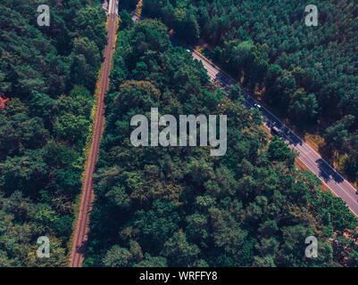 La linea ferroviaria e l'autostrada in una foresta Foto Stock