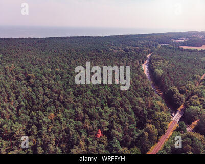 La linea ferroviaria e l'autostrada in una foresta Foto Stock
