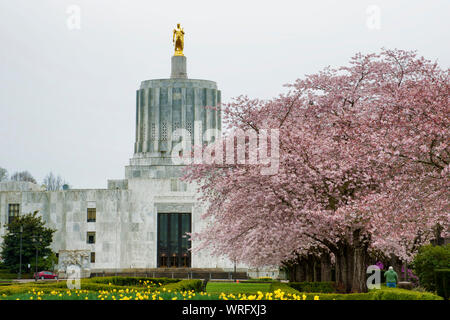 Salem, Oregon, Stati Uniti d'America - 8 Marzo, 2016: ciliegi in fiore nel parco di fronte alla costruzione di capitale Foto Stock