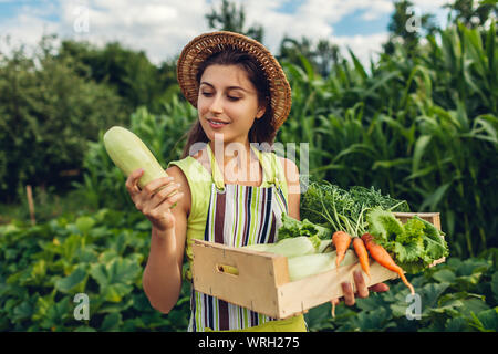 Giovane agricoltore tenendo le zucchine e la scatola di legno riempita con verdure fresche. Donna raccolto raccolto autunnale di lattuga e carote. Concetto di giardinaggio Foto Stock
