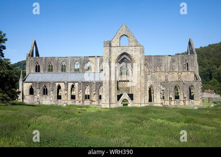 Rovinato Tintern Abbey con erba prato in primo piano Foto Stock