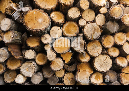 Ciocchi di legna da ardere accatastati . Combustibile per riscaldamento di stufa. La vita di campagna. Legna da ardere in legno parete impilati. Legno naturale sullo sfondo Foto Stock