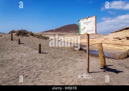 Fratino uccello segno di prenotazione sulla costa sotto il Montana Roja mountain, El Medano, Tenerife, Isole Canarie, Spagna, sunrise su soleggiate giornate estive Foto Stock