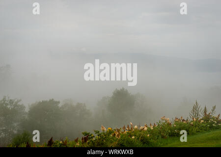 Nebbioso giorno dal fiume St-Laurent, campo da golf Foto Stock