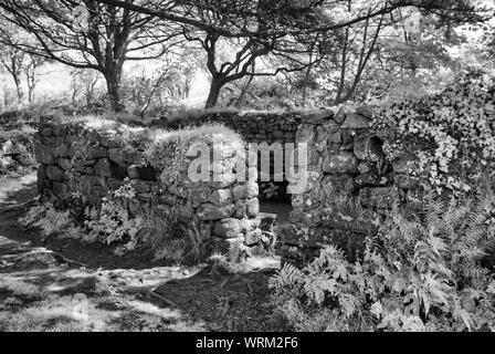 Madron Cappella/battistero, vecchia cappella celtica, Cornwall Regno Unito Foto Stock