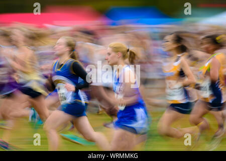 THETFORD CENTRO, VT, Stati Uniti d'America - 4 ottobre 2014: l'inizio della ventiquattresima edizione Thetford Academy Woods Trail Run, una delle ragazze di alta scuola di divisione. Foto Stock