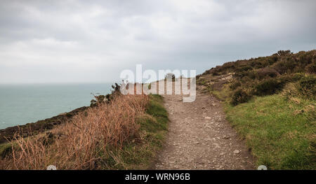 Sentiero escursionistico sulla scogliera che costeggia il mare a Howth, Irlanda Foto Stock