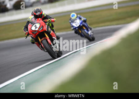 Troy Herfoss, Honda CBR1000 all'Australiano Superbike Round 5 Winton canalina Victoria Foto Stock