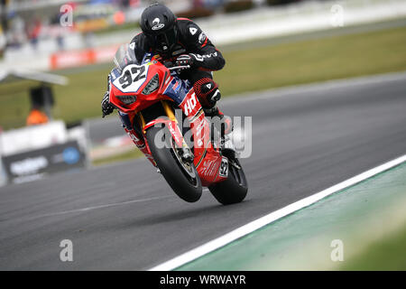 92, Damon Rees, Honda CBR1000SP1, tira una impennata sul rettilineo principale all'Australiano Superbike Round 5 Winton canalina Victoria Foto Stock