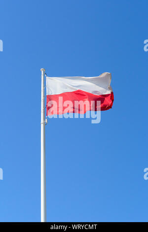 La Polonia bandiera nazionale sul cielo blu sullo sfondo Foto Stock