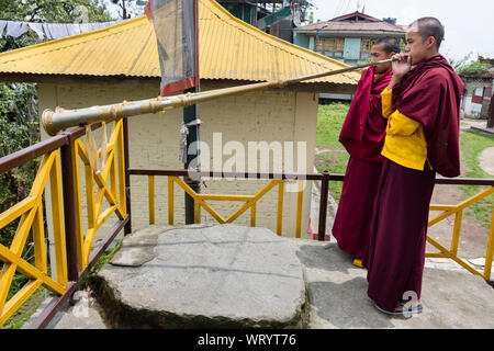 Due giovani monaci giocare su una lunga tromba strumento musicale presso il monastero pemmayangtse nella città di ortografia nello stato del Sikkim in India Foto Stock