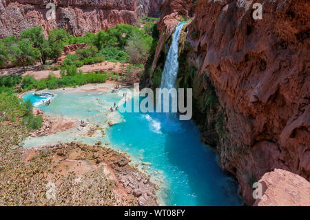 Havasu Falls - blue cascate nel Grand Canyon, Arizona Foto Stock