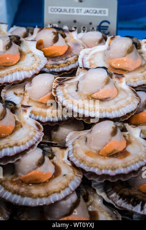 Capesante fresche sul semiguscio, street market,Periferia di Parigi Foto Stock