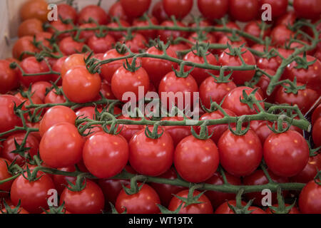 Pomodori ciliegini, street market, periferia di Parigi Foto Stock