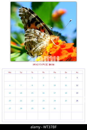 Calendario, 2020, al mese, 12 foto, butterflys, di raccolta 2 Foto Stock