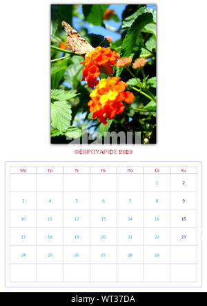 Calendario, 2020, al mese, 12 foto, butterflys, di raccolta 2 Foto Stock