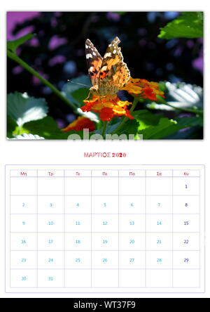 Calendario, 2020, al mese, 12 foto, butterflys, di raccolta 2 Foto Stock