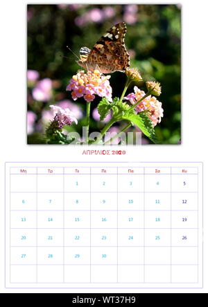 Calendario, 2020, al mese, 12 foto, butterflys, di raccolta 2 Foto Stock