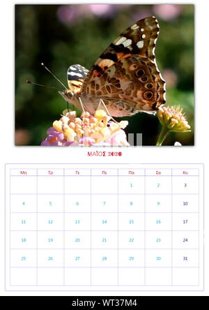 Calendario, 2020, al mese, 12 foto, butterflys, di raccolta 2 Foto Stock