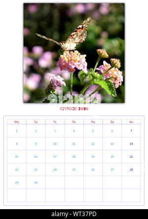 Calendario, 2020, al mese, 12 foto, butterflys, di raccolta 2 Foto Stock