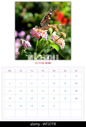 Calendario, 2020, al mese, 12 foto, butterflys, di raccolta 2 Foto Stock