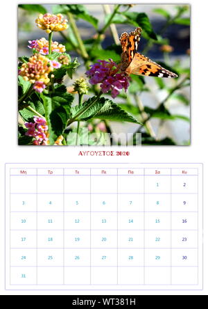 Calendario, 2020, al mese, 12 foto, butterflys, di raccolta 2 Foto Stock