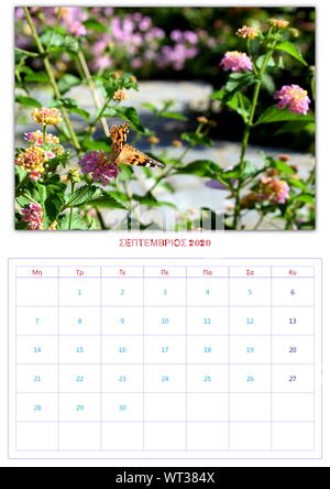 Calendario, 2020, al mese, 12 foto, butterflys, di raccolta 2 Foto Stock