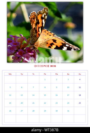 Calendario, 2020, al mese, 12 foto, butterflys, di raccolta 2 Foto Stock