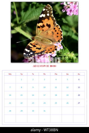 Calendario, 2020, al mese, 12 foto, butterflys, di raccolta 2 Foto Stock