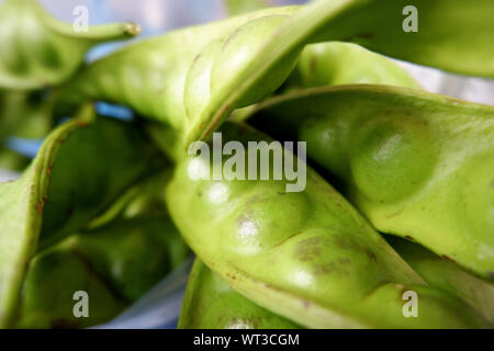 Sato il cibo nel sud della Thailandia Foto Stock