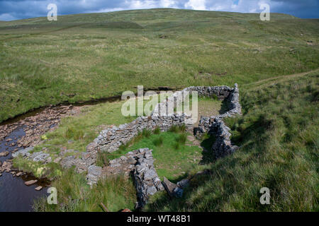 Vecchio washfold sulla brughiera in Swaledale, North Yorkshire. Essi sono stati utilizzati per il lavaggio di pecore in pile prima di eseguire il taglio Foto Stock