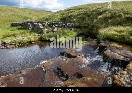 Vecchio washfold sulla brughiera in Swaledale, North Yorkshire. Essi sono stati utilizzati per il lavaggio di pecore in pile prima di eseguire il taglio Foto Stock