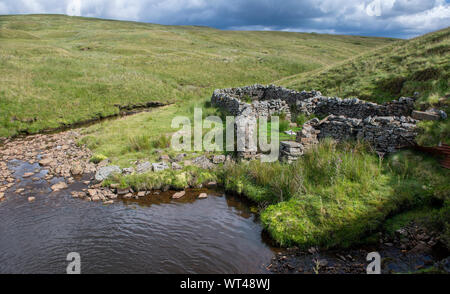 Vecchio washfold sulla brughiera in Swaledale, North Yorkshire. Essi sono stati utilizzati per il lavaggio di pecore in pile prima di eseguire il taglio Foto Stock