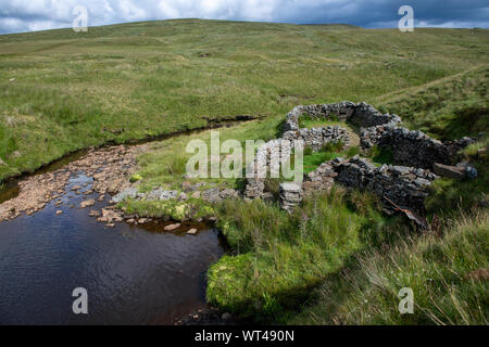 Vecchio washfold sulla brughiera in Swaledale, North Yorkshire. Essi sono stati utilizzati per il lavaggio di pecore in pile prima di eseguire il taglio Foto Stock