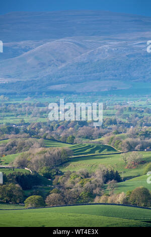 Guardando oltre la parte superiore Eden Valley vicino a Kirkby Stephen, Cumbria, verso nord Pennine fells. Regno Unito. Foto Stock