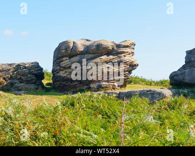 Grandi usurato e stagionato affioramento gritstone noto come Defiance sul bordo di Birchen nel Derbyshire. Foto Stock