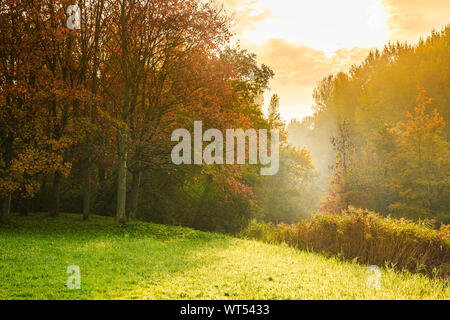 Paesaggio autunnale su una mattinata nebbiosa con raggi del sole attraverso gli alberi in Autunno colori. HDR, high dynamic range, Foto Stock