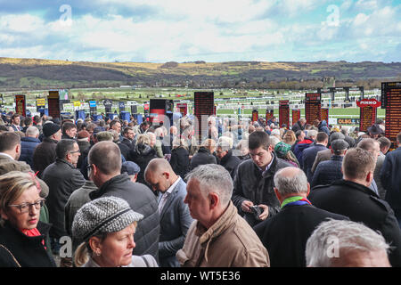 La folla si riuniranno presso il famoso festival di Cheltenham. Nel Regno Unito il premier nazionale gara di suoneria incontro e una mecca per un esercito di viaggio tifosi irlandesi Foto Stock