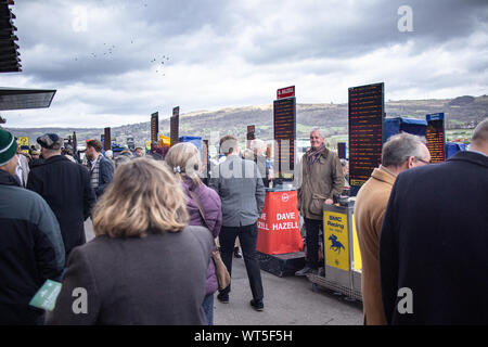 La folla si riuniranno presso il famoso festival di Cheltenham. Nel Regno Unito il premier nazionale gara di suoneria incontro e una mecca per un esercito di viaggio tifosi irlandesi Foto Stock